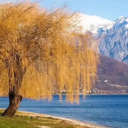 Rustico Maria Full House View Escape *